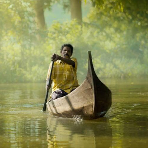 Exotic Kerala